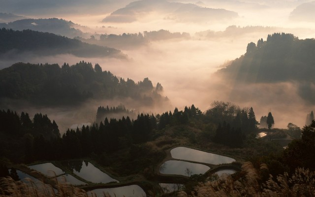 Nature. Desktop wallpaper