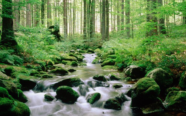 Nature. Desktop wallpaper