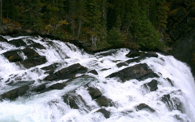 Nature. Desktop wallpaper