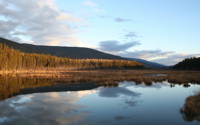 Nature. Desktop wallpaper