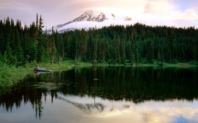 Nature. Desktop wallpaper