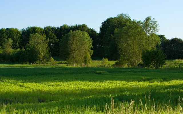 Nature. Desktop wallpaper