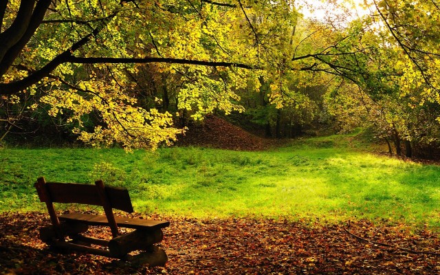 Nature. Desktop wallpaper
