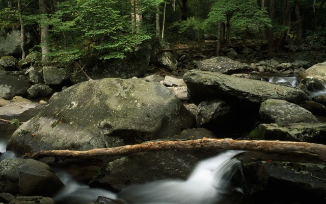 Nature. Desktop wallpaper