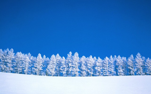 Nature. Desktop wallpaper