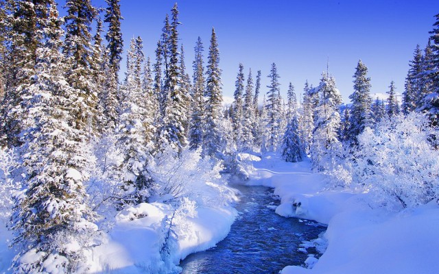 Nature. Desktop wallpaper