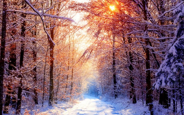 Nature. Desktop wallpaper