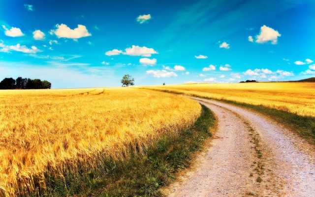 Nature. Desktop wallpaper