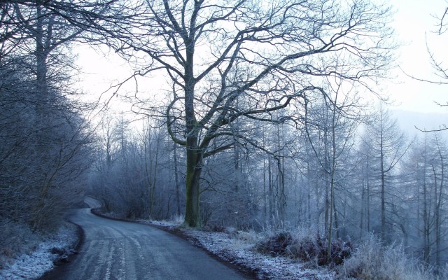 Nature. Desktop wallpaper