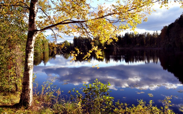 Nature. Desktop wallpaper