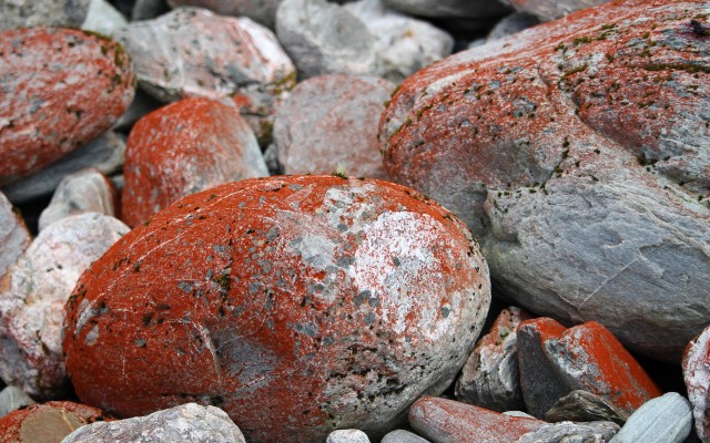 Nature. Desktop wallpaper