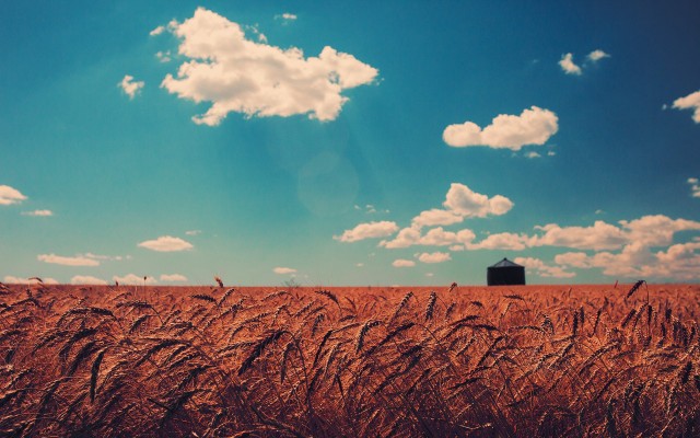 Nature. Desktop wallpaper