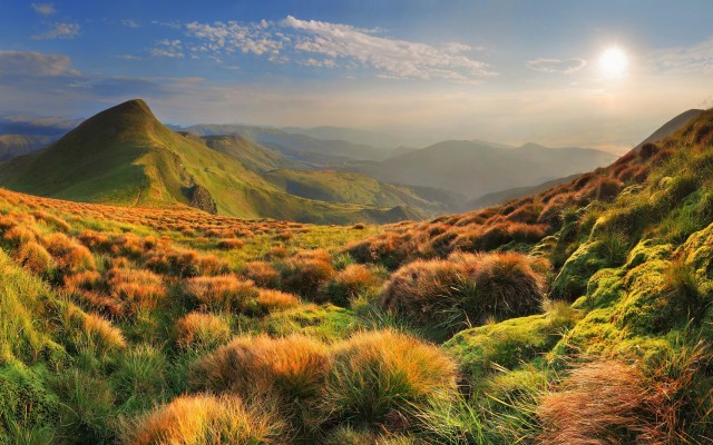Nature. Desktop wallpaper
