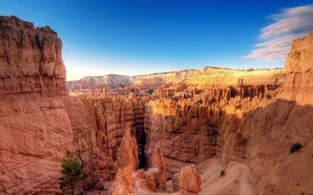 Nature. Desktop wallpaper