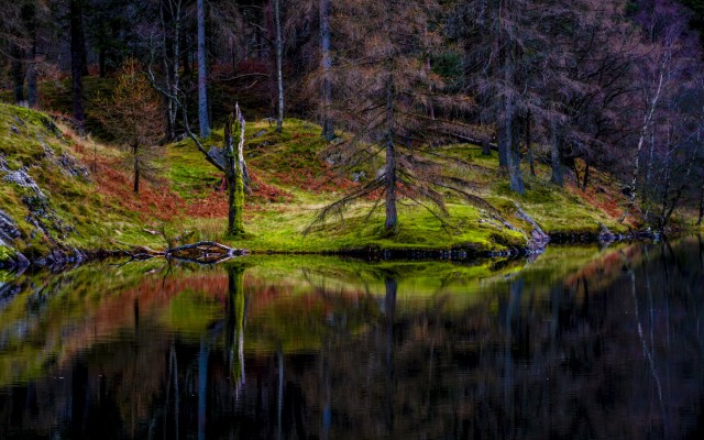 Nature. Desktop wallpaper