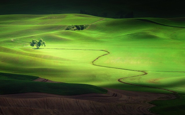 Nature. Desktop wallpaper
