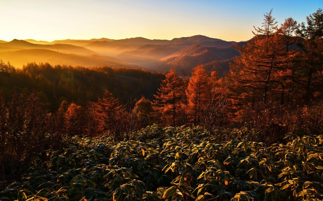 Nature. Desktop wallpaper