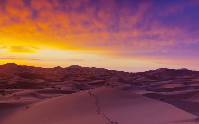 Nature. Desktop wallpaper