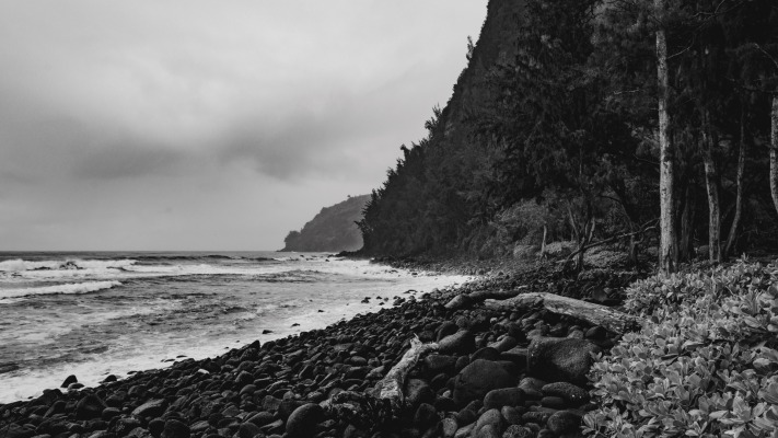 Nature. Desktop wallpaper