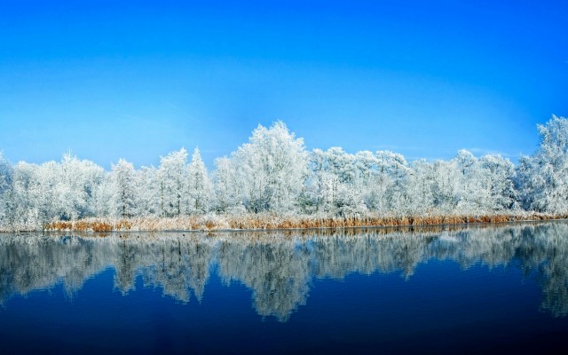 Nature. Desktop wallpaper