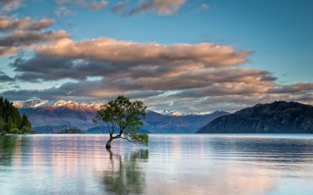 Nature. Desktop wallpaper