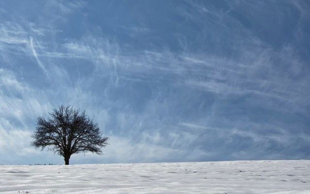 Nature. Desktop wallpaper