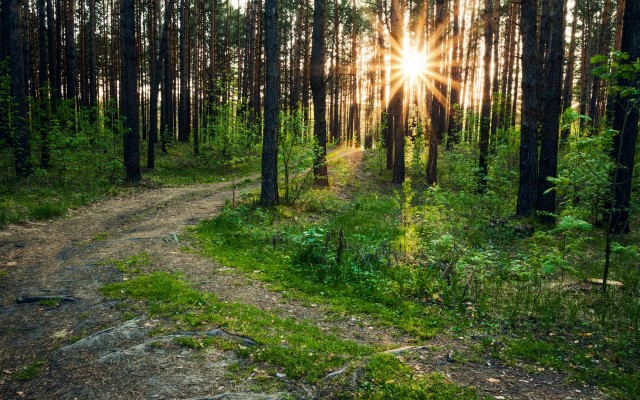 Nature. Desktop wallpaper