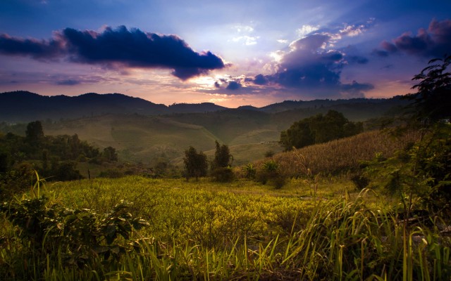 Nature. Desktop wallpaper