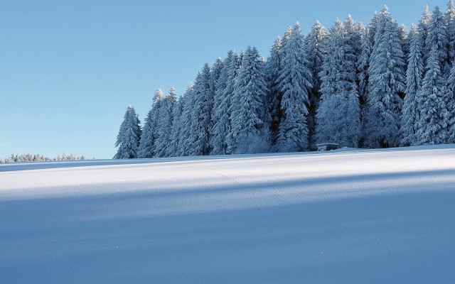 Nature. Desktop wallpaper