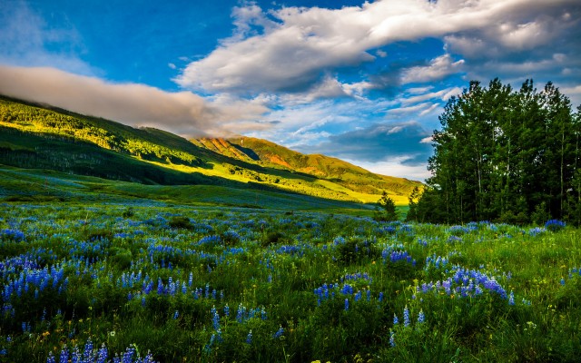 Nature. Desktop wallpaper