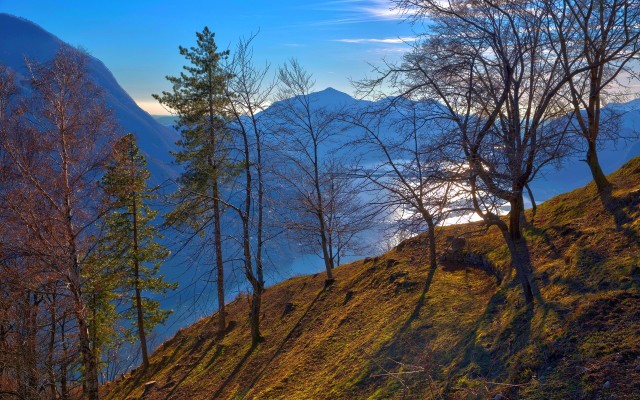 Nature. Desktop wallpaper