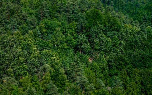 Nature. Desktop wallpaper