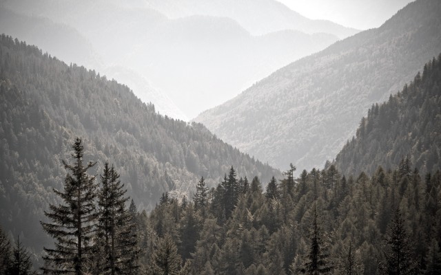 Nature. Desktop wallpaper