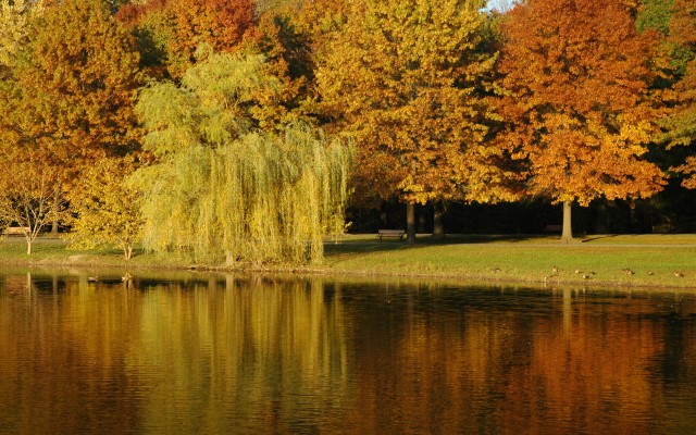Nature. Desktop wallpaper