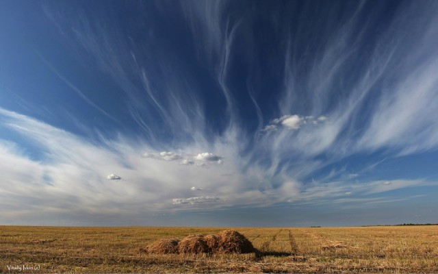 Nature. Desktop wallpaper