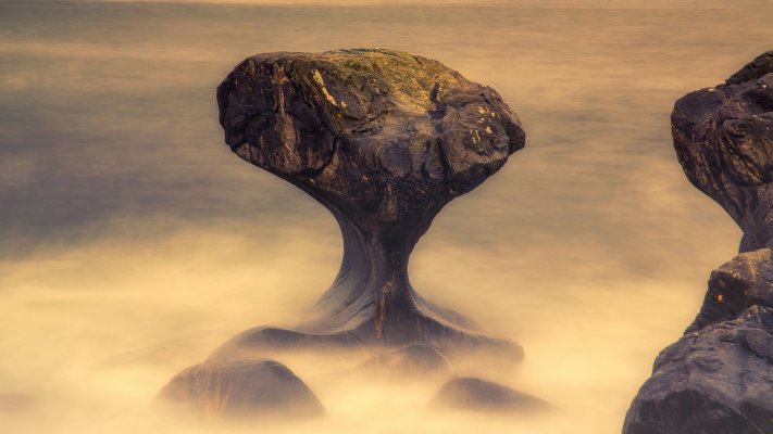Nature. Desktop wallpaper