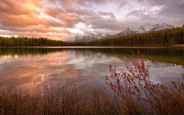 Nature. Desktop wallpaper
