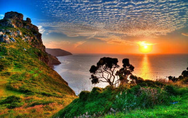 Nature. Desktop wallpaper