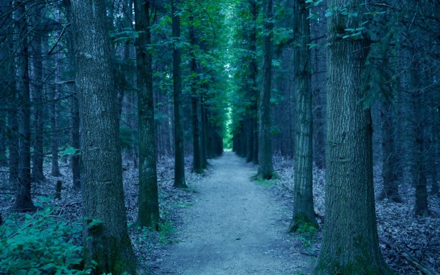 Nature. Desktop wallpaper