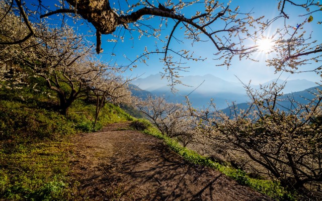 Nature. Desktop wallpaper
