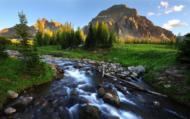 Nature. Desktop wallpaper
