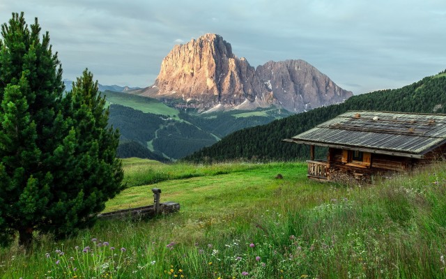 Nature. Desktop wallpaper