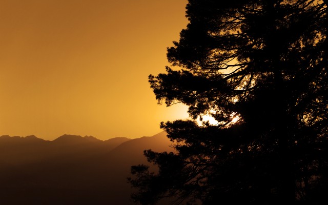 Nature. Desktop wallpaper