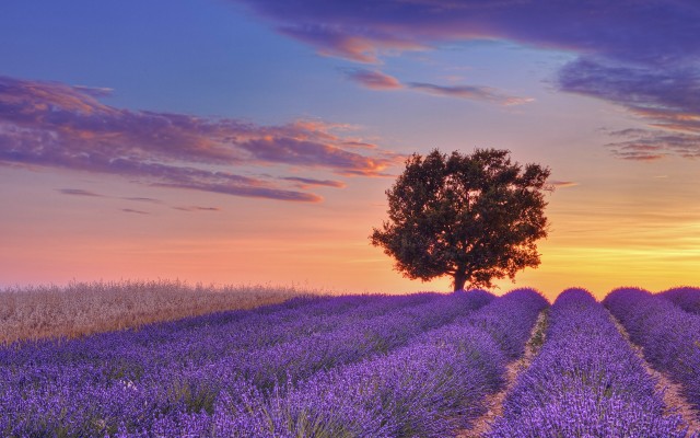 Nature. Desktop wallpaper