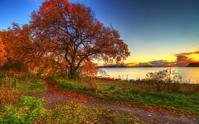 Nature. Desktop wallpaper