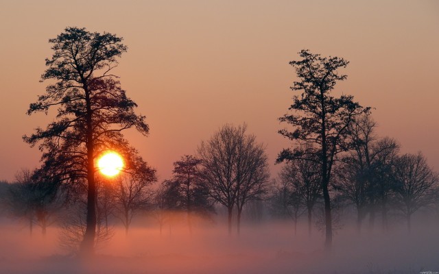 Nature. Desktop wallpaper