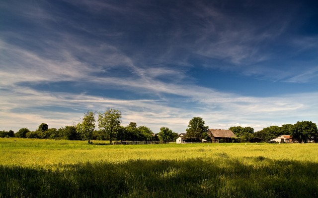 Nature. Desktop wallpaper