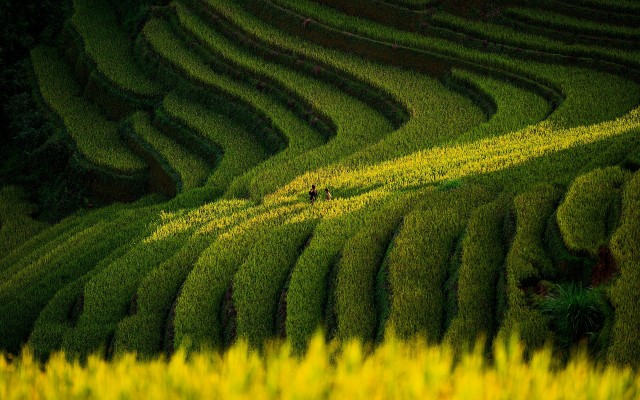 Nature. Desktop wallpaper