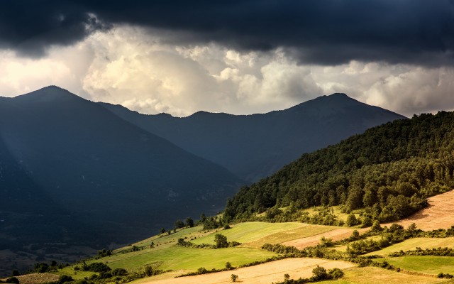 Nature. Desktop wallpaper
