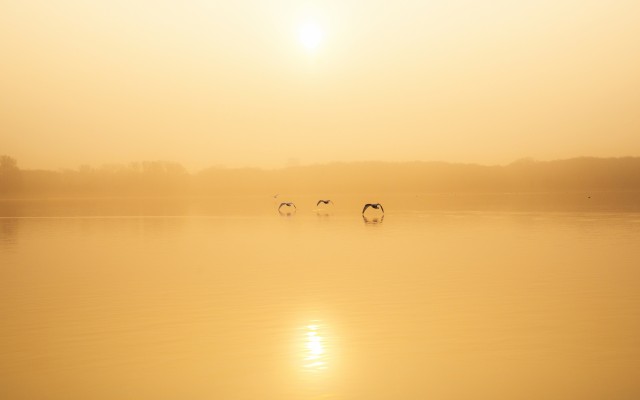Nature. Desktop wallpaper